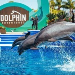 Ingresso do SeaWorld: Tudo o que você precisa saber!